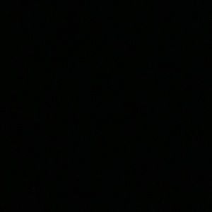 Meet your Posher, Sybelle